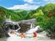 天露山禅龙峡漂流 